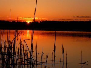 Санаторий Карачарово: Отдых и Лечение в Тверской Области